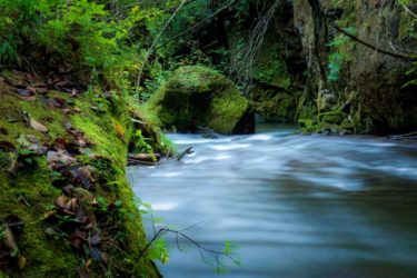 定額使い放題ハイブリットウォーターサーバー